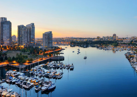 wellness water company - a harbor filled with lots of boats next to tall buildings