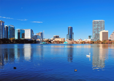 wellness water company - a swan is swimming in a lake in front of a city