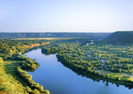 wellness water company - a river running through a lush green countryside