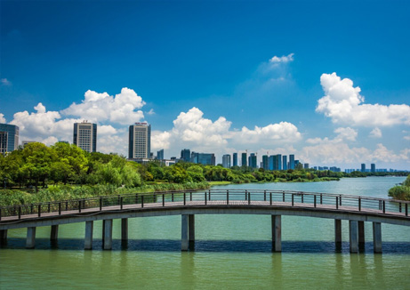 wellness water company - a bridge over a body of water with a city in the background