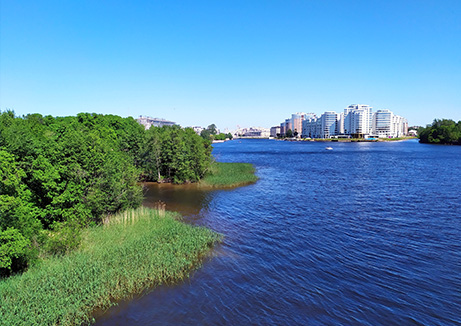 wellness water company - a body of water surrounded by trees and buildings