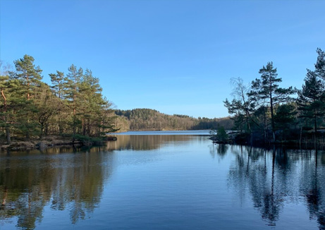 water wellness company - a large body of water surrounded by trees