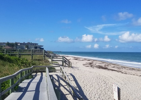 wellness water company - a view of a beach from the top