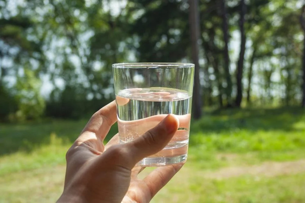 Whole House Water Filtration System | Wellness Water Company